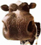 Avatar de l’utilisateur