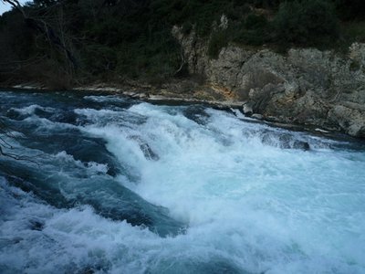 P1010162.JPG