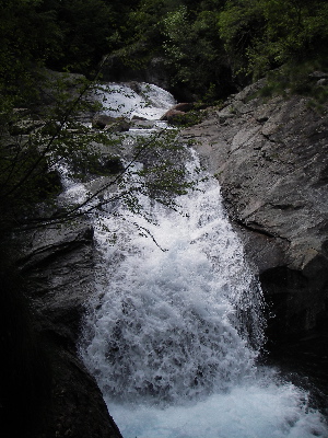 IMGP1365.jpg