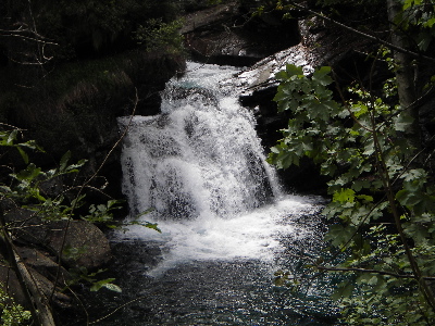 IMGP1366.jpg