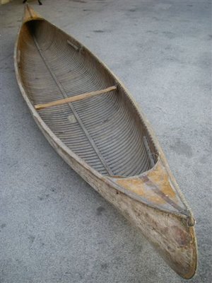 IMGP9807.JPG