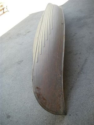 IMGP9815.JPG