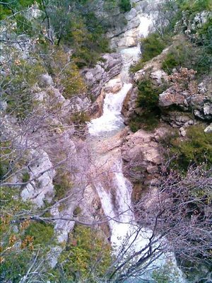 Photo016 (1).jpg