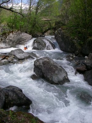mai_2008.JPG