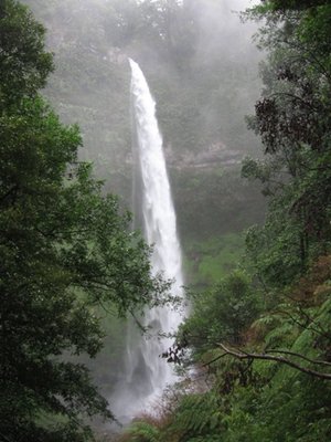 salto del claro.jpg