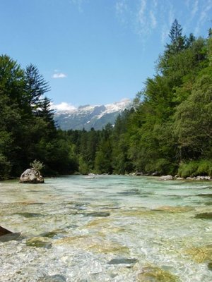 couca.JPG