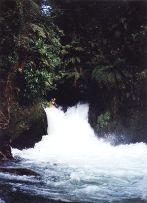 Tutea Falls, Kaituna (NZ)