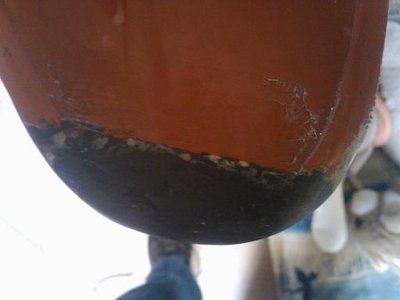 IMG_20110131_121534.jpg