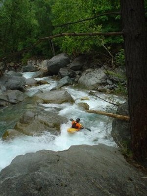 bertmoul 2008.JPG