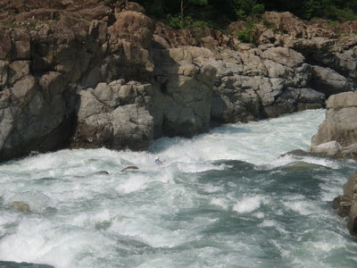 P5220137.jpg