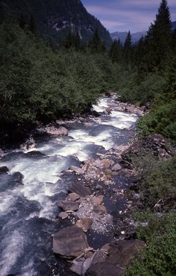 Rivière mystèrieuse1.jpg