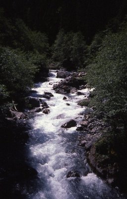 Rivière mystèrieuse 3.jpg