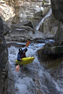 IMG_7334.jpg