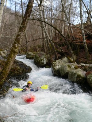 ruisseau du pomaret