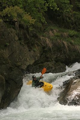 IMG_6339.jpg