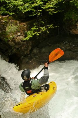 IMG_6346.jpg