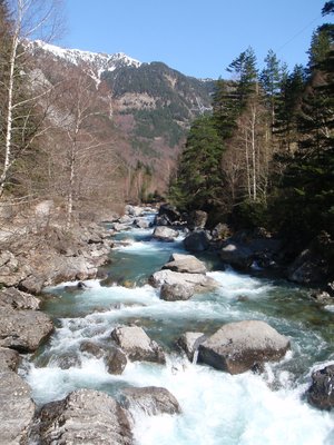 ceouca.jpg
