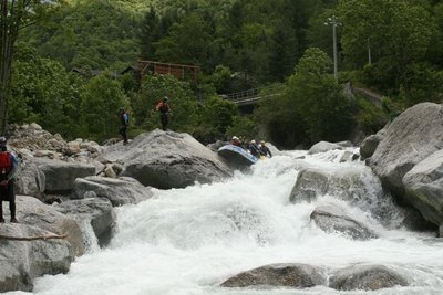 IMG_7686.jpg