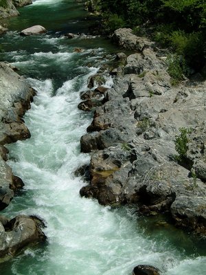 DSCF0161.jpg