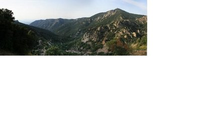 La Massane (Gorges de Lavall).jpg