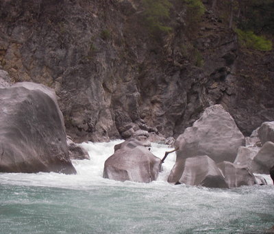 IMGP2237.jpg