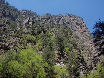 P4210134.jpg