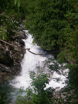 Chute.jpg