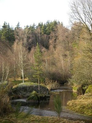 La Truyère en amont de Serverette