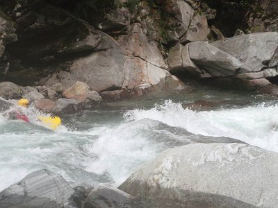 P7150012sm.jpg