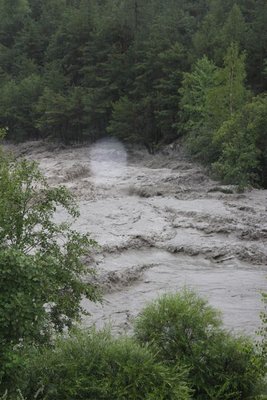 IMG_3025.jpg