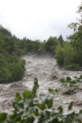 IMG_3116.jpg