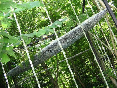 mosaïque de miroir sur un C2, vu dans les jardins d'Arc et Senans, conception et réalisation : Evologia, Cernier (Suisse)
