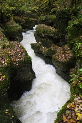 P1000195sm.jpg