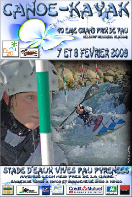 affiche rÃ©gional pau 7 8 fev 2009 n2light.jpg