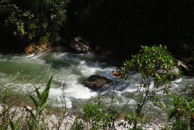 PC280150.jpg