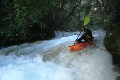 IMG_3522 m.JPG