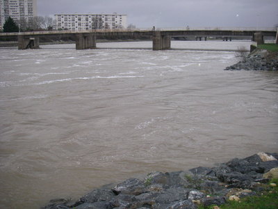 IMGP1103.JPG
