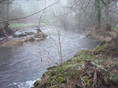 P1000625.JPG
