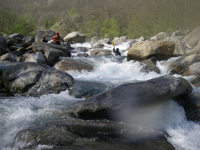 IMGP1373.jpg