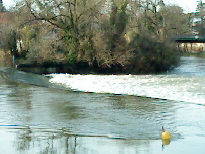 DSC00347.JPG