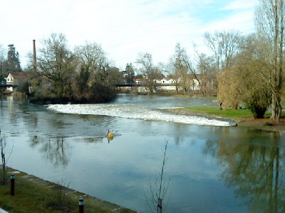 DSC00348.JPG