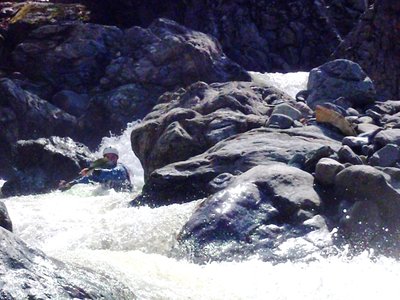 orba