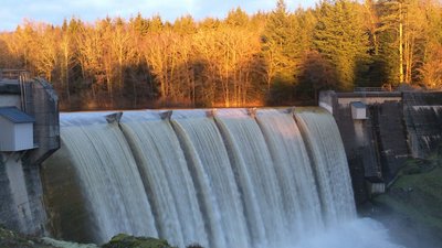 100_0044.JPG