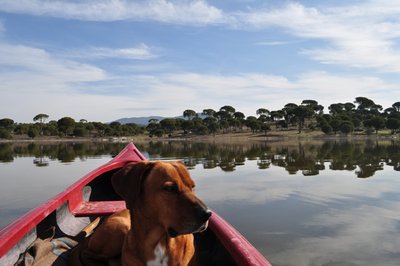 turquie,toujours avec mon compagnon