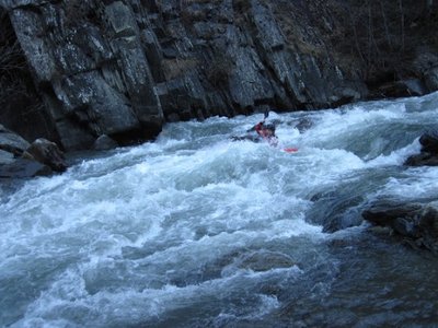 photo.JPG