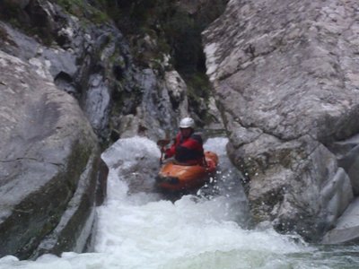 PA270012EVOOO.JPG