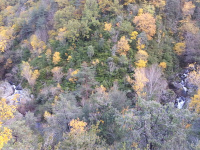 20121112_153407.jpg