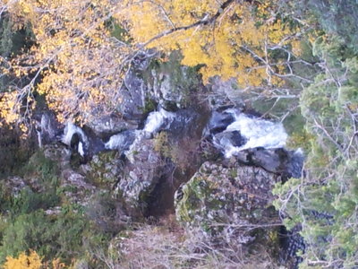 20121112_153346.jpg