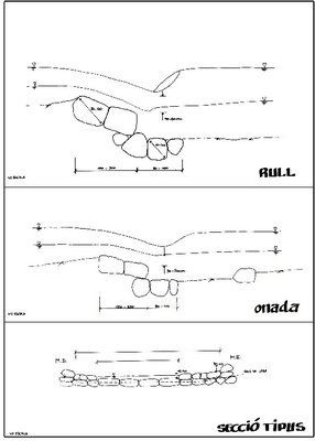 sections types