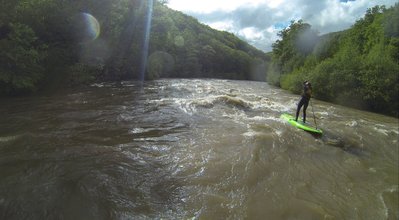 Paddle chipol_01.JPG